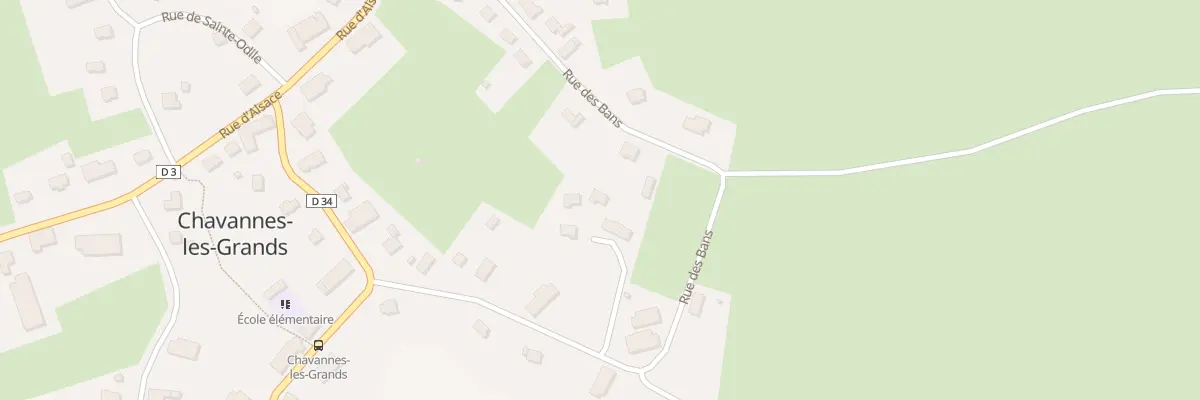 Plan du 19 Rue des Bans à Chavannes-les-Grands