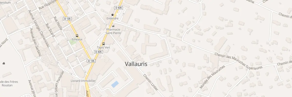 Plan du 165E Che Lintier à Vallauris