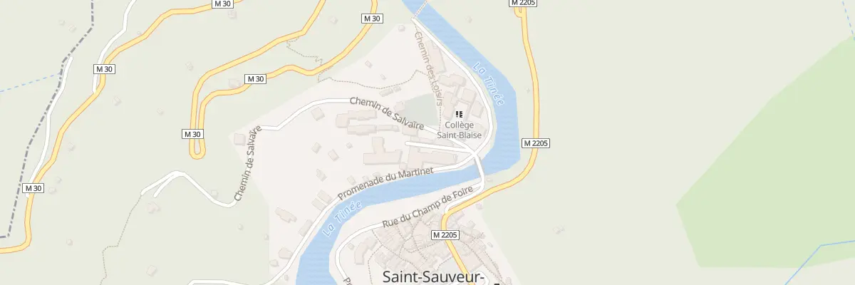 Plan du 6 Bd Saint-Blaise à Saint-Sauveur-sur-Tinée