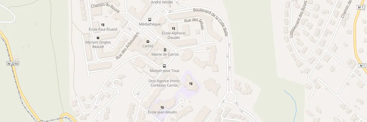Plan du 21 Rue des Selves à Carros