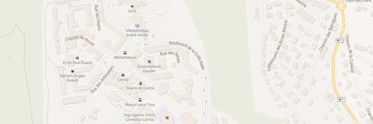 Plan du 9 Rue des Selves à Carros