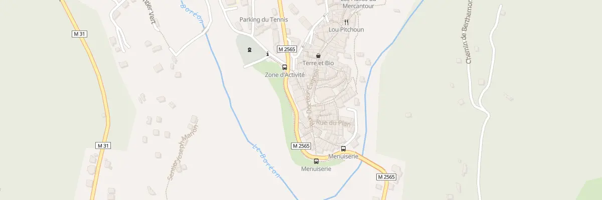 Plan du 31 Rue Docteur Cagnoli à Saint-Martin-Vésubie