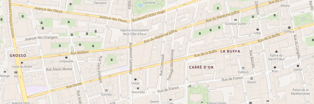 Plan du 13 Rue Cronstadt à Nice