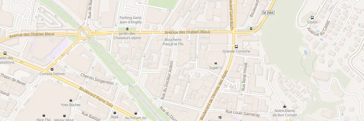 Plan du 18 Rue Docteur Ardoin à Nice