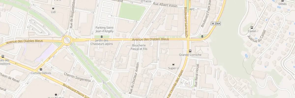 Plan du 22 Rue Docteur Ardoin à Nice