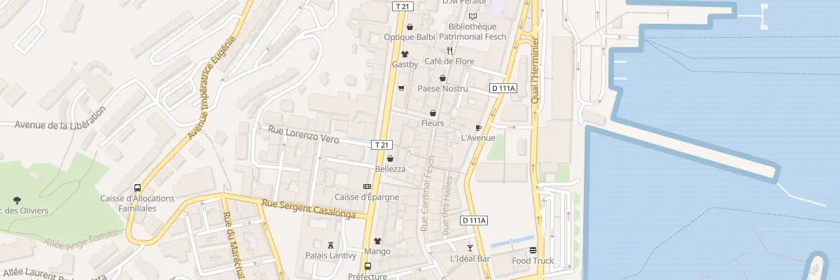 Plan du 17 Rue Cardinal Fesch à Ajaccio