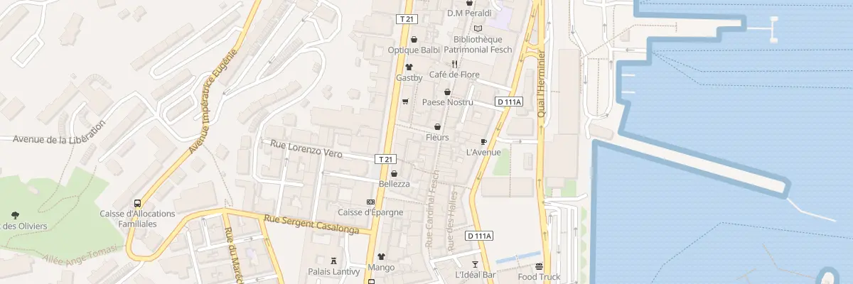 Plan du 21 Rue Cardinal Fesch à Ajaccio