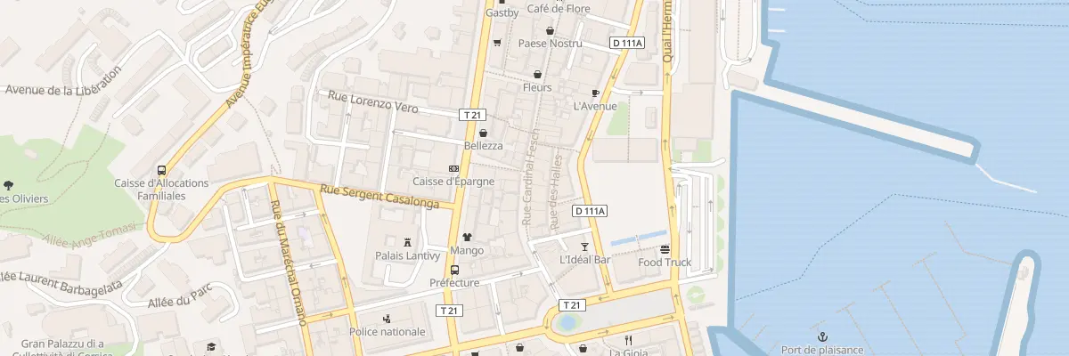 Plan du 22 Rue Cardinal Fesch à Ajaccio