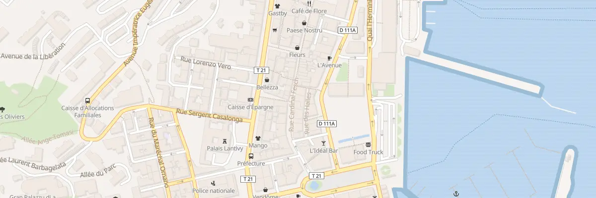 Plan du 24 Rue Cardinal Fesch à Ajaccio