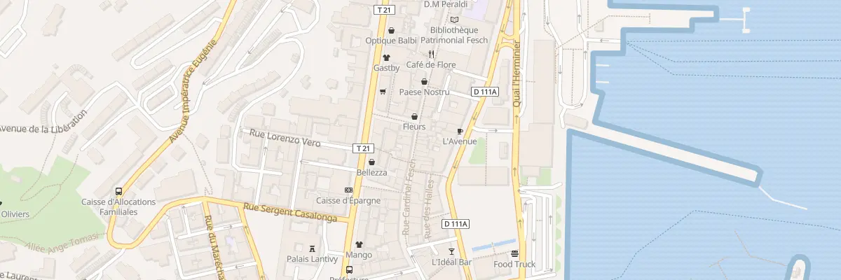 Plan du 38 Rue Cardinal Fesch à Ajaccio