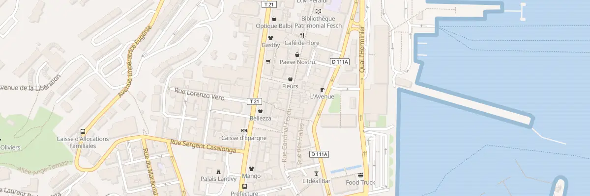 Plan du 36 Rue Cardinal Fesch à Ajaccio