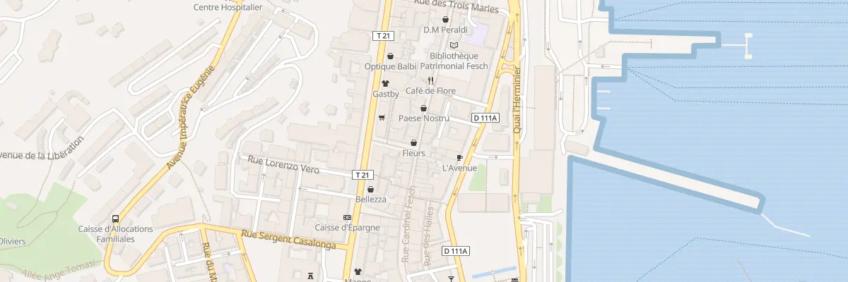 Plan du 44 Rue Cardinal Fesch à Ajaccio
