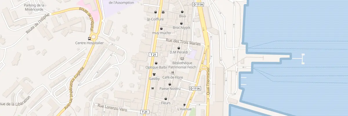 Plan du 37 Rue Cardinal Fesch à Ajaccio