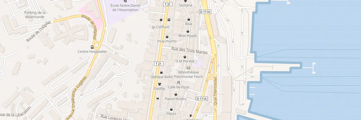 Plan du 41 Rue Cardinal Fesch à Ajaccio