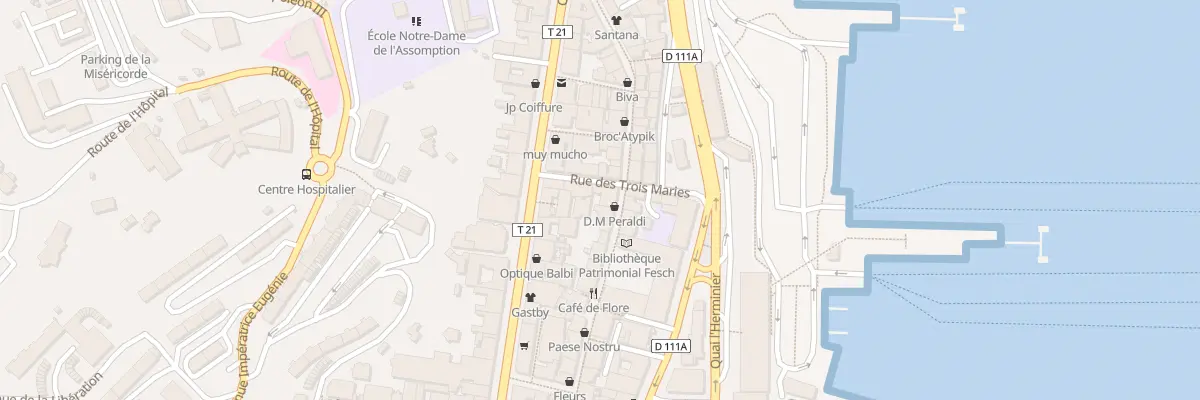 Plan du 43 Rue Cardinal Fesch à Ajaccio