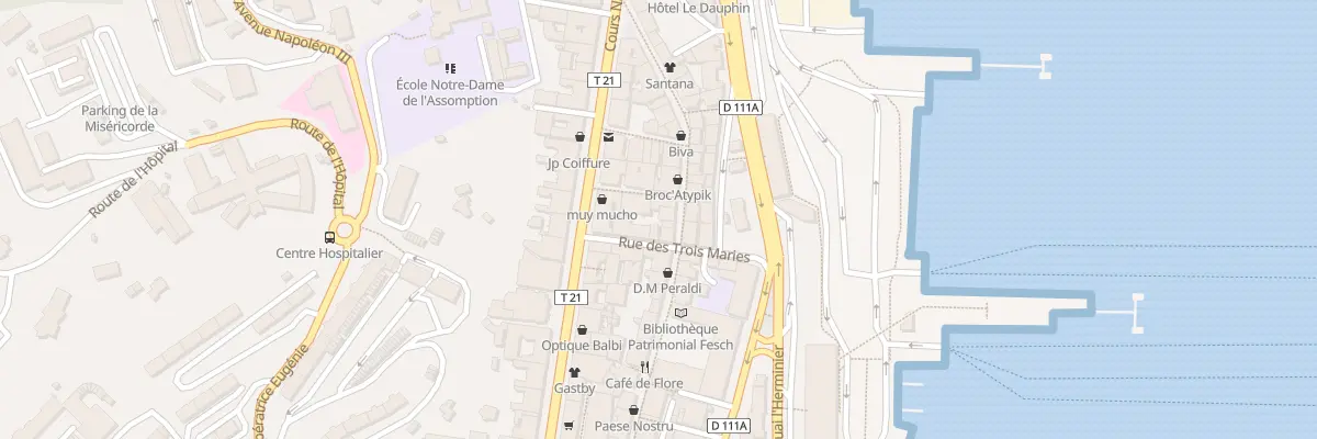 Plan du 49 Rue Cardinal Fesch à Ajaccio