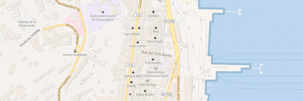 Plan du 45 Rue Cardinal Fesch à Ajaccio