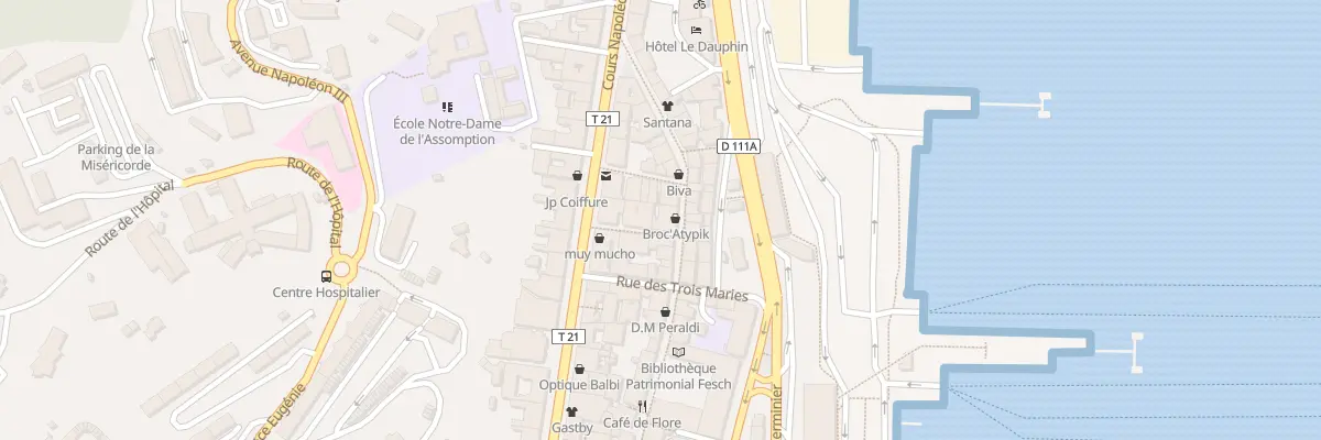 Plan du 51 Rue Cardinal Fesch à Ajaccio