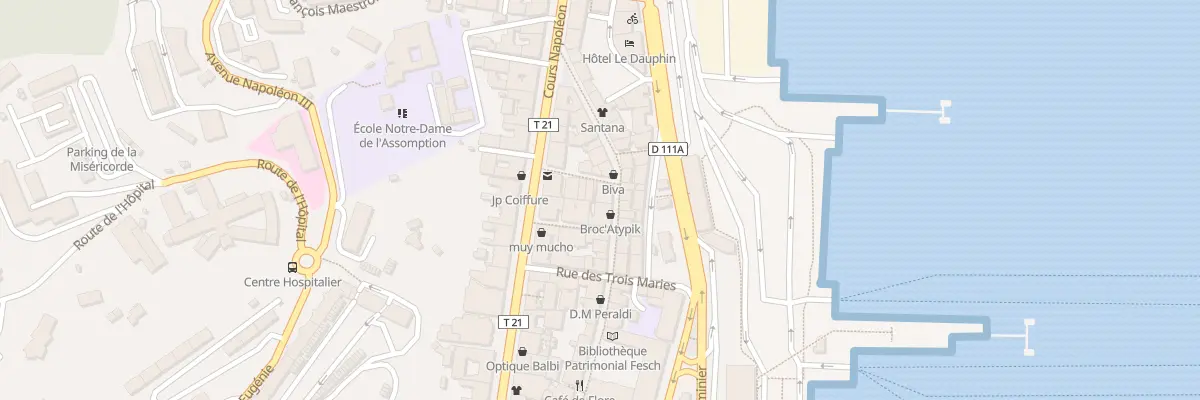 Plan du 53 Rue Cardinal Fesch à Ajaccio