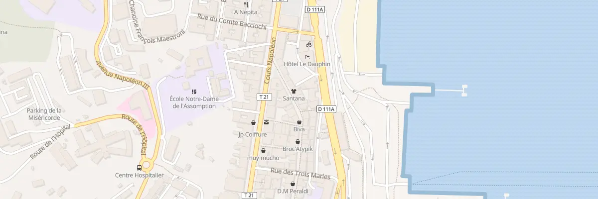 Plan du 80B Rue Cardinal Fesch à Cuttoli-Corticchiato