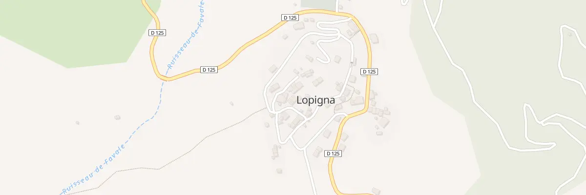 Plan du 5021 Lopigna à Lopigna