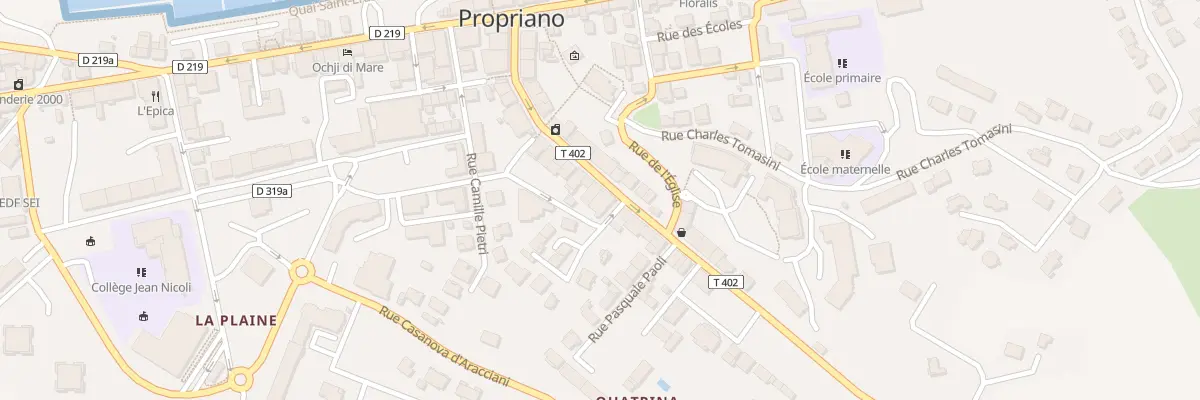 Plan du 20 Rue Gen de Gaulle à Propriano