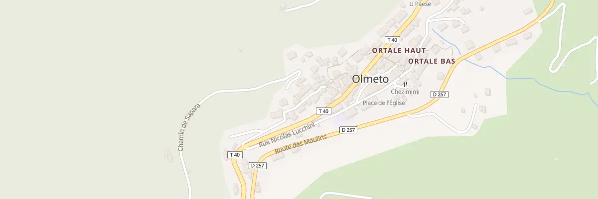 Plan du 11 Rue de la Ribba à Olmeto