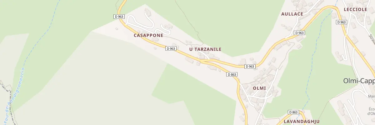 Plan du 115 Rte Stradone Di A Furesta à Olmi-Cappella