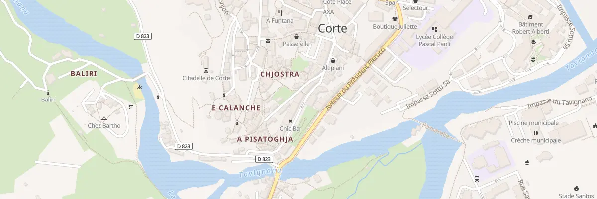 Plan du 14 Rue du Professeur Santiaggi à Corte