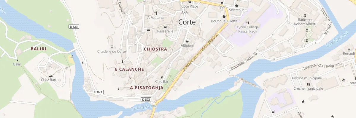 Plan du 17 Rue du Professeur Santiaggi à Corte