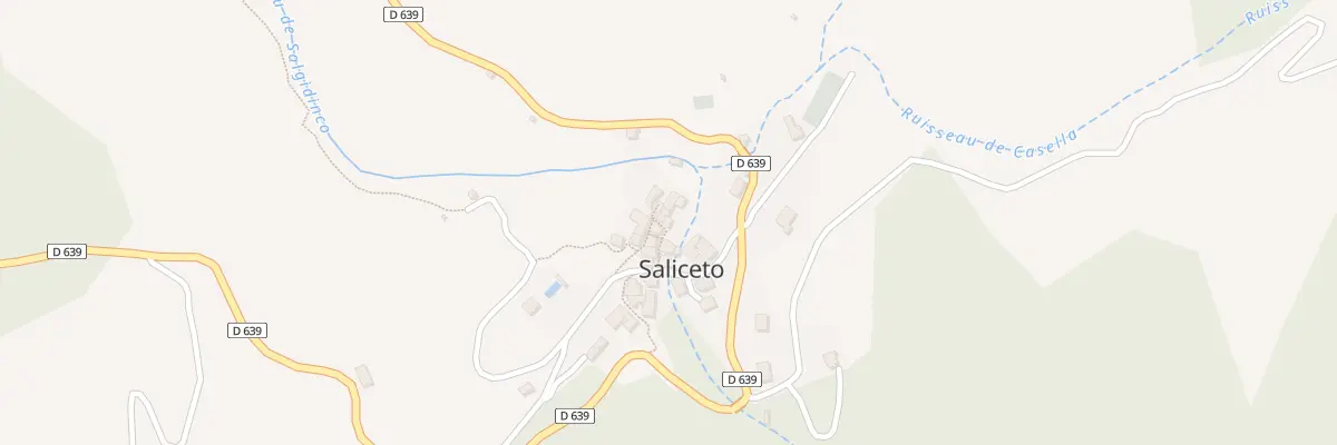 Plan de Saliceto à Saliceto