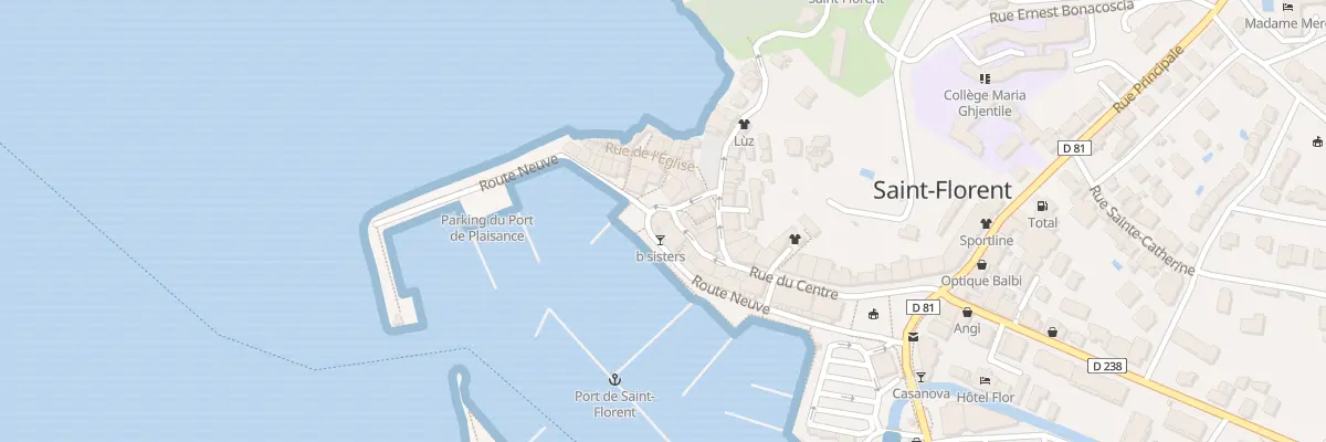 Plan du 40 Rte Neuve à Saint-Florent