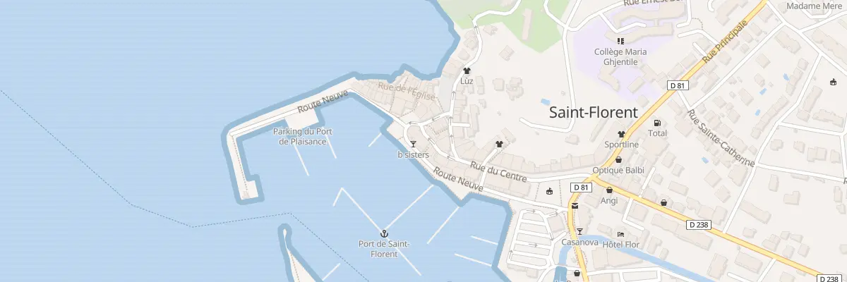 Plan du 36 Rte Neuve à Saint-Florent