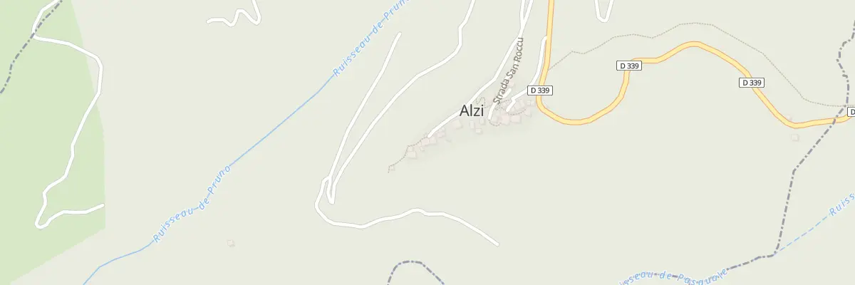 Plan du 5006 Alzi à Alzi