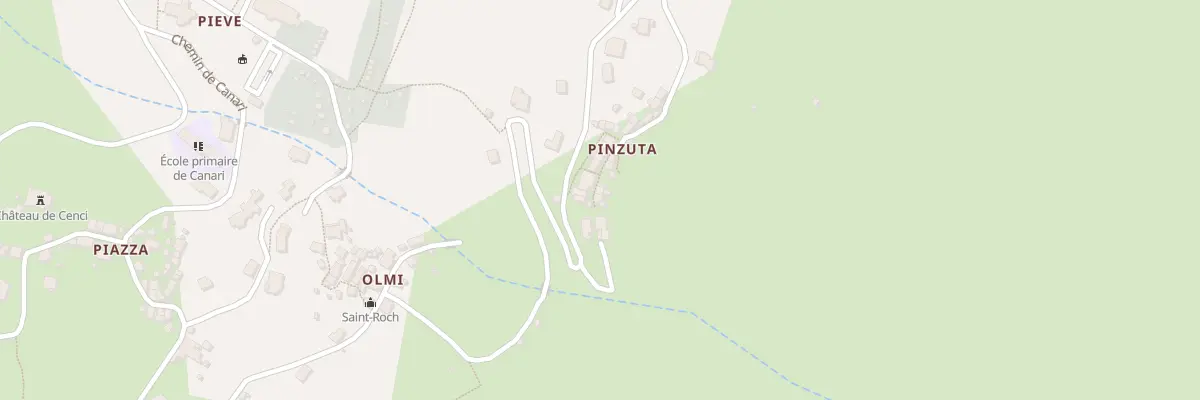 Plan du 205 Pinzuta à Canari