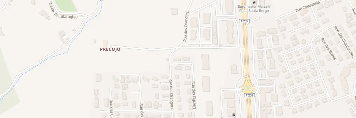 Plan du 1 Rue des Figuiers à Borgo