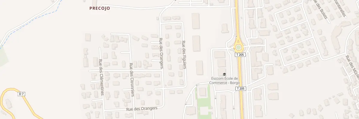 Plan du 12 Rue des Figuiers à Borgo