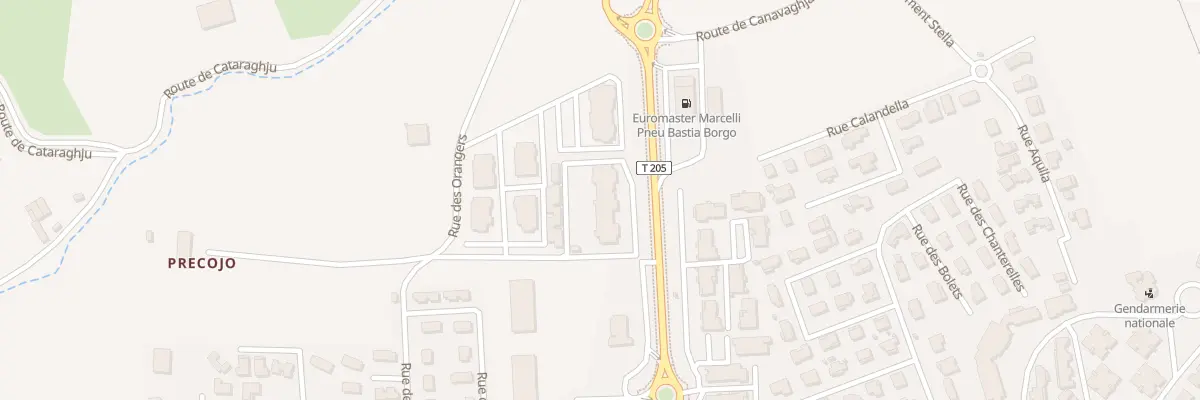Plan du 2073 Av de Borgo à Borgo