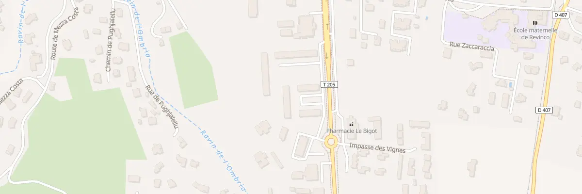 Plan du 1187 Av de Borgo à Borgo