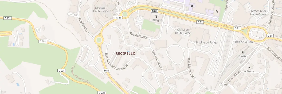Plan du 220 Rue Jean Marini à Bastia