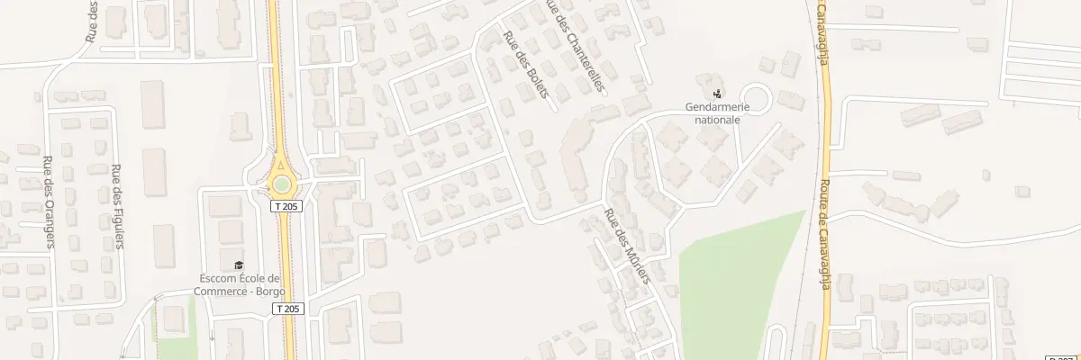 Plan du 22B Rue des Campucci à Borgo