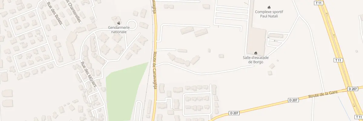 Plan du 290 Rte de Canavaggia à Borgo