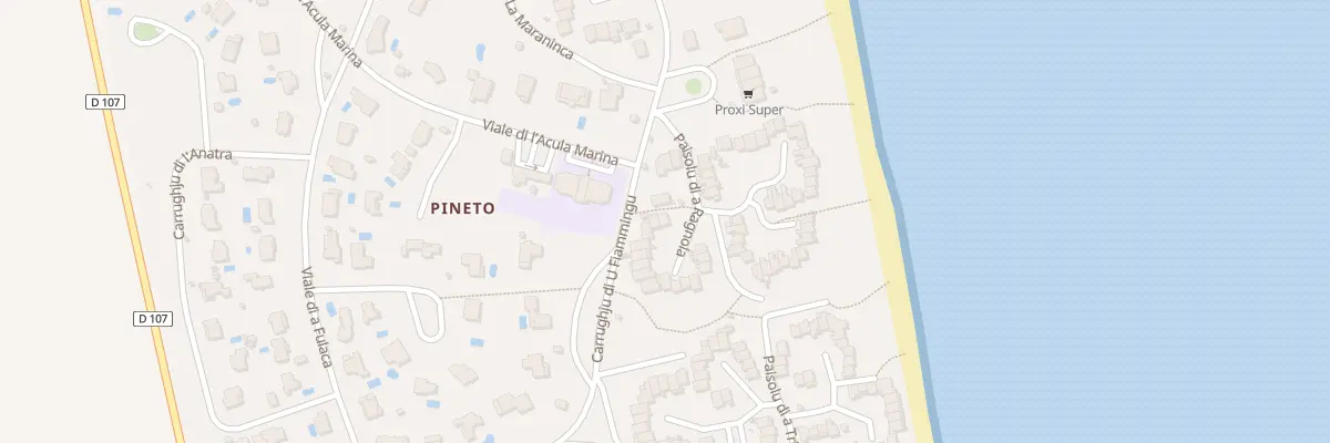 Plan du 5534 Pineto à Lucciana